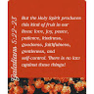 Meet your Posher, Dela